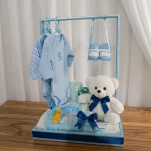 Tiny Champ Welcome Basket